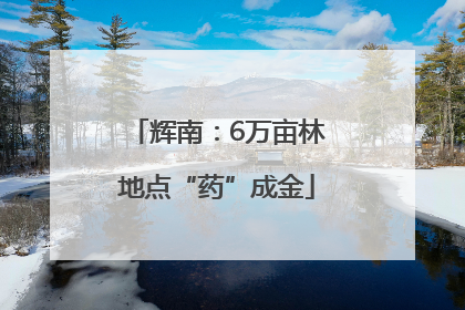 辉南：6万亩林地点“药”成金