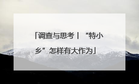 调查与思考丨“特小乡”怎样有大作为