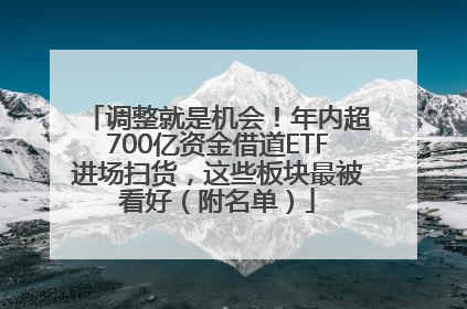 调整就是机会！年内超700亿资金借道ETF进场扫货，这些板块最被看好（附名单）