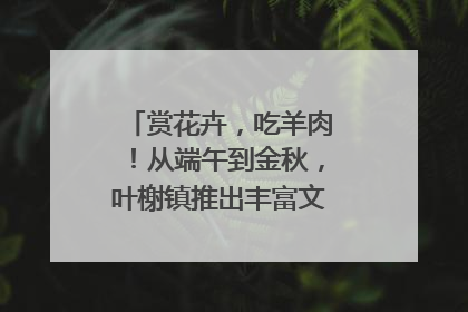 赏花卉，吃羊肉！从端午到金秋，叶榭镇推出丰富文旅活动邀您爽玩