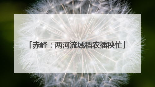 赤峰：两河流域稻农插秧忙