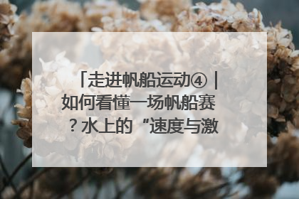 走进帆船运动④｜如何看懂一场帆船赛？水上的“速度与激情”同样精彩