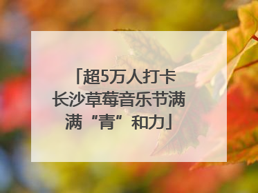 超5万人打卡 长沙草莓音乐节满满“青”和力