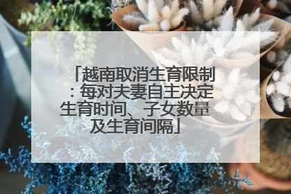 越南取消生育限制：每对夫妻自主决定生育时间、子女数量及生育间隔
