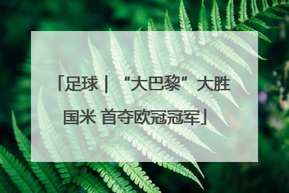 足球｜“大巴黎”大胜国米 首夺欧冠冠军