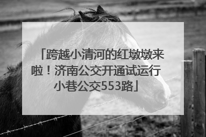 跨越小清河的红墩墩来啦！济南公交开通试运行小巷公交553路