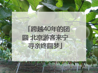 跨越40年的团圆 北京游客来宁寻亲终圆梦