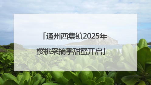 通州西集镇2025年樱桃采摘季甜蜜开启