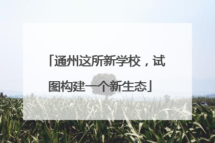 通州这所新学校，试图构建一个新生态