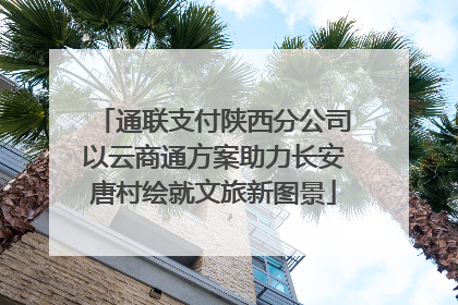 通联支付陕西分公司以云商通方案助力长安唐村绘就文旅新图景