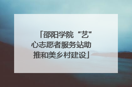 邵阳学院“艺”心志愿者服务站助推和美乡村建设