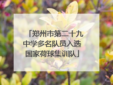 郑州市第二十九中学多名队员入选国家荷球集训队