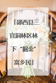 郧西县三官洞林区林下“掘金”富乡民