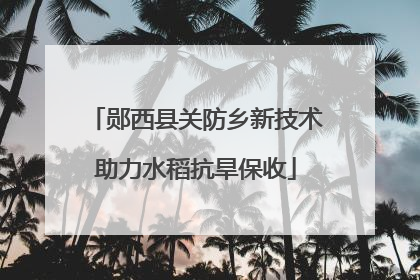 郧西县关防乡新技术助力水稻抗旱保收