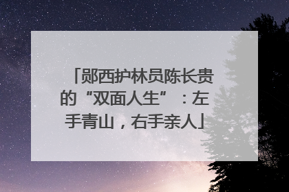 郧西护林员陈长贵的“双面人生”：左手青山，右手亲人