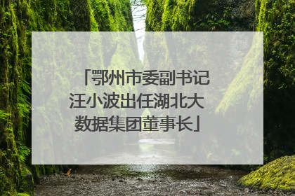 鄂州市委副书记汪小波出任湖北大数据集团董事长
