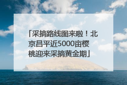 采摘路线图来啦！北京昌平近5000亩樱桃迎来采摘黄金期