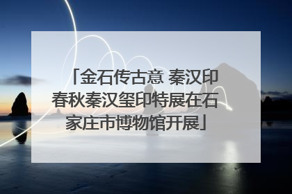 金石传古意 秦汉印春秋秦汉玺印特展在石家庄市博物馆开展