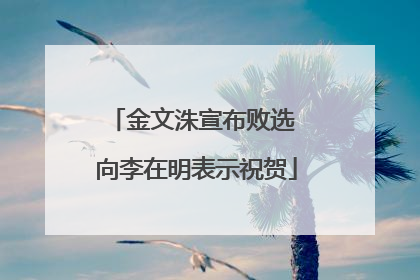 金文洙宣布败选 向李在明表示祝贺
