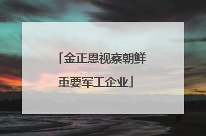 金正恩视察朝鲜重要军工企业