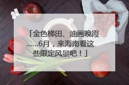 金色梯田、油画晚霞……6月，来海南看这些限定风景吧！