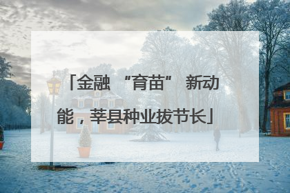 金融 “育苗” 新动能，莘县种业拔节长