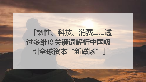 韧性、科技、消费……透过多维度关键词解析中国吸引全球资本“新磁场”