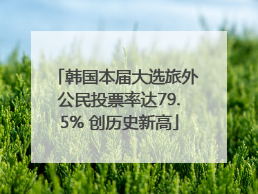 韩国本届大选旅外公民投票率达79.5% 创历史新高