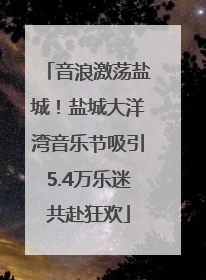 音浪激荡盐城！盐城大洋湾音乐节吸引5.4万乐迷共赴狂欢