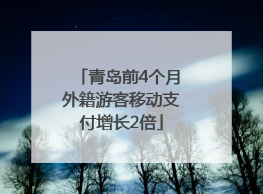青岛前4个月外籍游客移动支付增长2倍