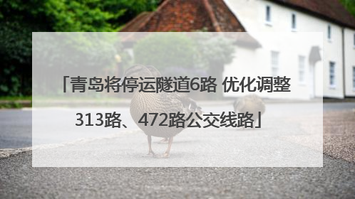 青岛将停运隧道6路 优化调整313路、472路公交线路