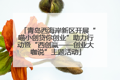 青岛西海岸新区开展“喵小创贷你创业”助力行动暨“西创赢——创业大咖说”主题活动