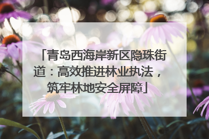 青岛西海岸新区隐珠街道：高效推进林业执法，筑牢林地安全屏障