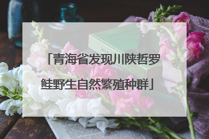 青海省发现川陕哲罗鲑野生自然繁殖种群