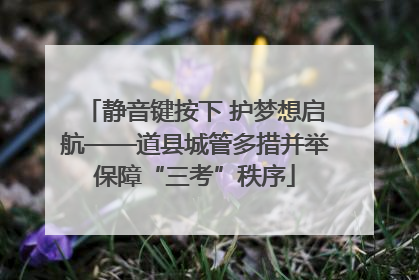 静音键按下 护梦想启航——道县城管多措并举保障“三考”秩序