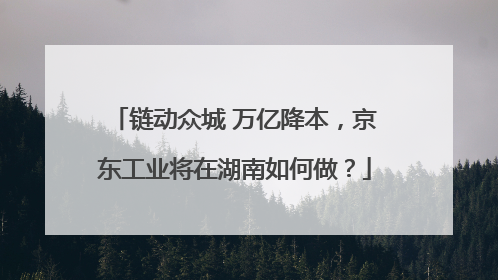 链动众城 万亿降本，京东工业将在湖南如何做？