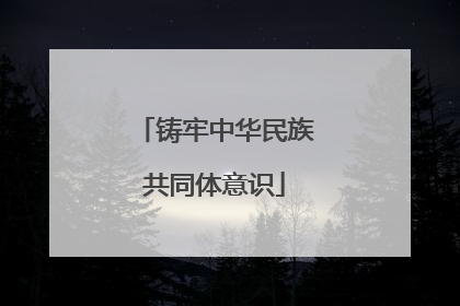 铸牢中华民族共同体意识