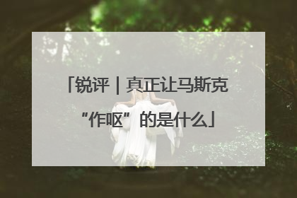 锐评｜真正让马斯克“作呕”的是什么