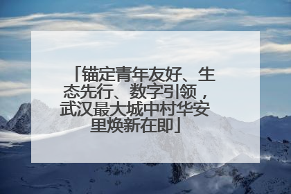 锚定青年友好、生态先行、数字引领，武汉最大城中村华安里焕新在即
