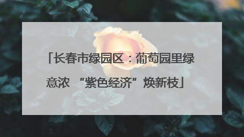 长春市绿园区：葡萄园里绿意浓 “紫色经济”焕新枝