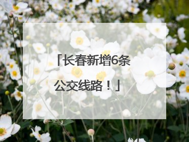 长春新增6条公交线路！