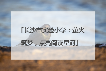 长沙市实验小学：萤火筑梦，点亮阅读星河