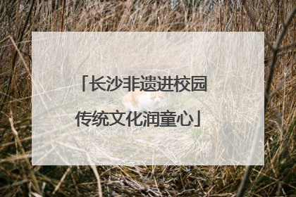 长沙非遗进校园 传统文化润童心