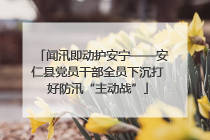 闻汛即动护安宁——安仁县党员干部全员下沉打好防汛“主动战”