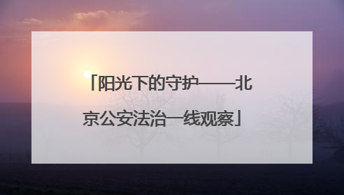 阳光下的守护——北京公安法治一线观察