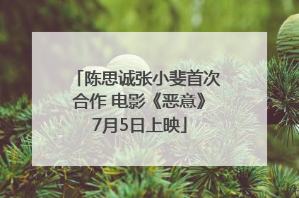 陈思诚张小斐首次合作 电影《恶意》7月5日上映