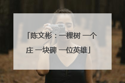 陈文彬：一棵树 一个庄 一块碑 一位英雄