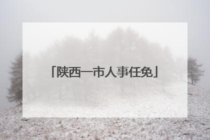 陕西一市人事任免