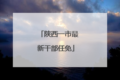 陕西一市最新干部任免