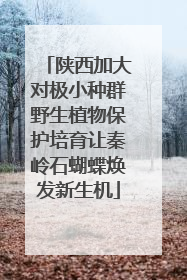 陕西加大对极小种群野生植物保护培育让秦岭石蝴蝶焕发新生机